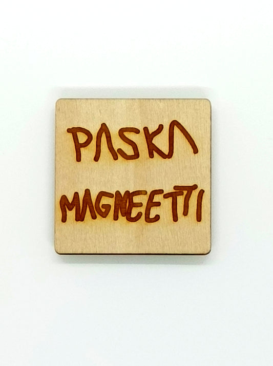 Magneetit